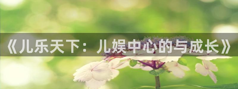 赢咖4：《儿乐天下：儿娱中心的与成长》
