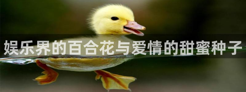 赢咖app下载品牌官网：娱乐界的百合花与爱情的甜蜜种子