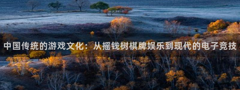 赢咖主管：中国传统的游戏文化：从摇钱树棋牌娱乐到现代的电子竞技