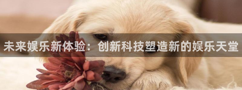 赢咖3：未来娱乐新体验：创新科技塑造新的娱乐天堂