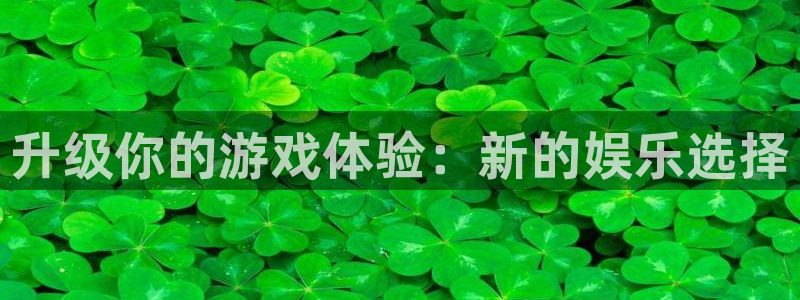 赢咖代理：升级你的游戏体验：新的娱乐选择